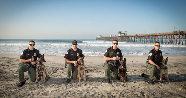 K-9 trials