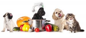 Five Dog Treats to Avoid (and Their Alternatives)