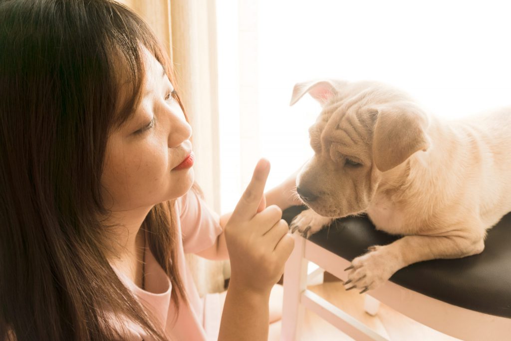 A woman interacting with a light-colored puppy by a sunny window.