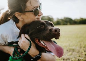 dog daycare in san diego