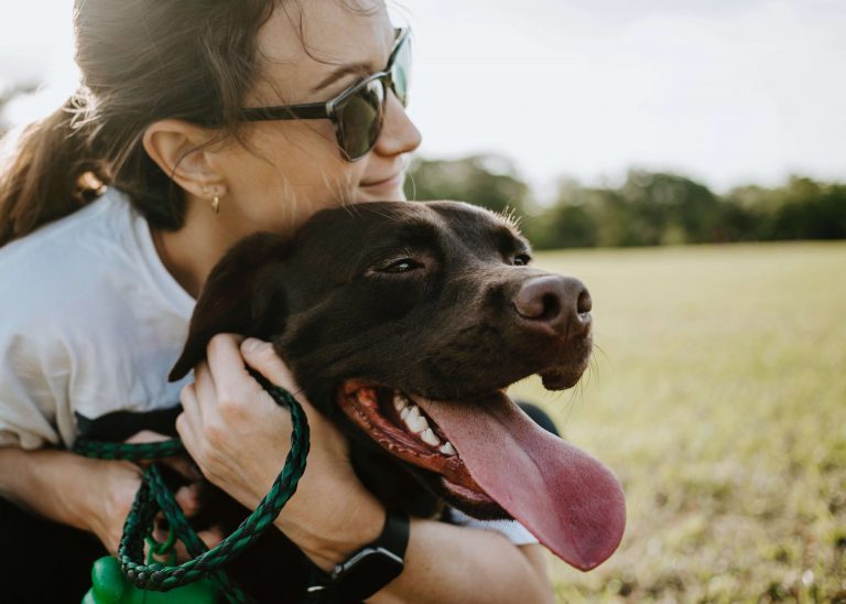 dog daycare in san diego