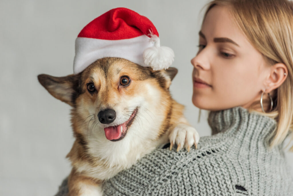 happy dog with santa hat carried by female owner
