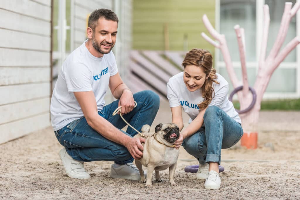 Two volunteers in matching t-shirts smile as they play with a pug in front of a house.
