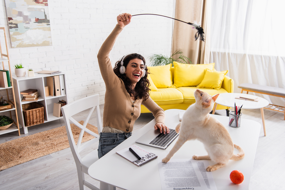 A woman wearing headphones plays with a cat using a feather wan