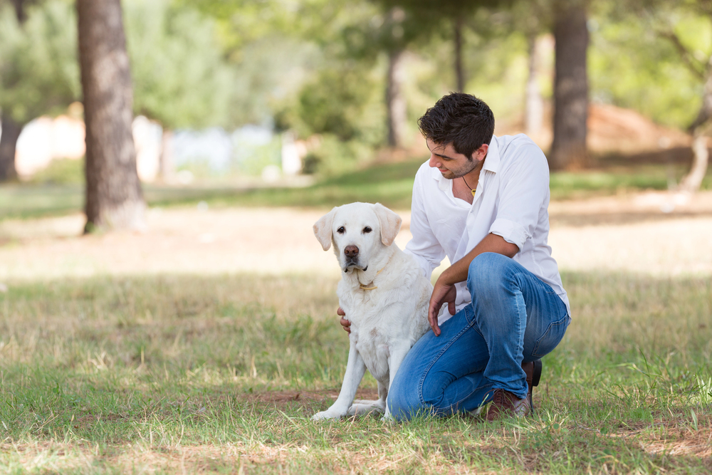 Young man with old senior labrador dog outdoors