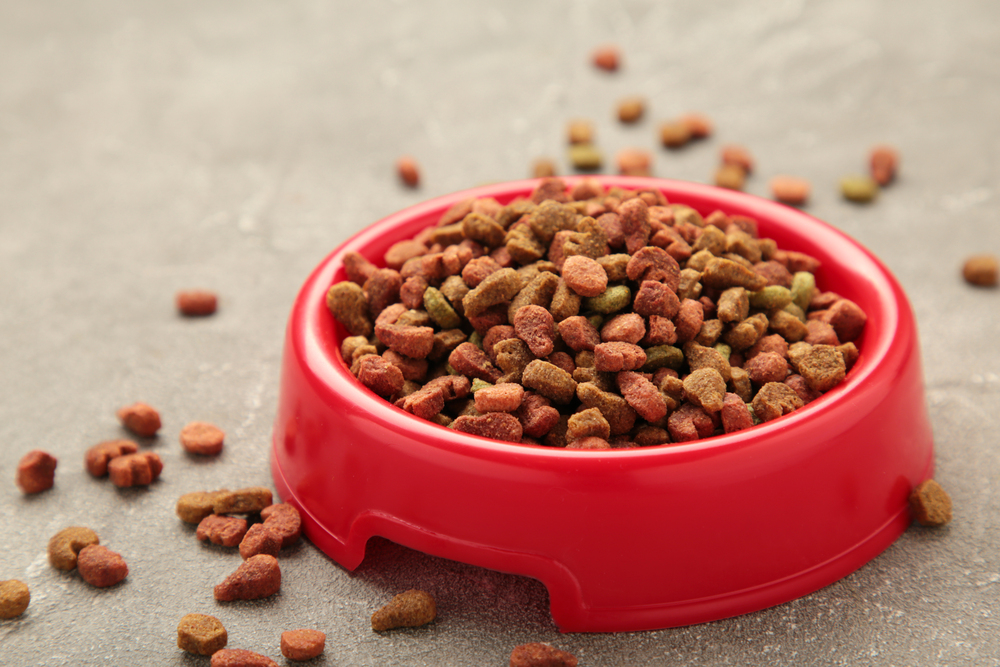 Red bowl filled with dry dog food kibble on a gray surface, with some kibble scattered around.