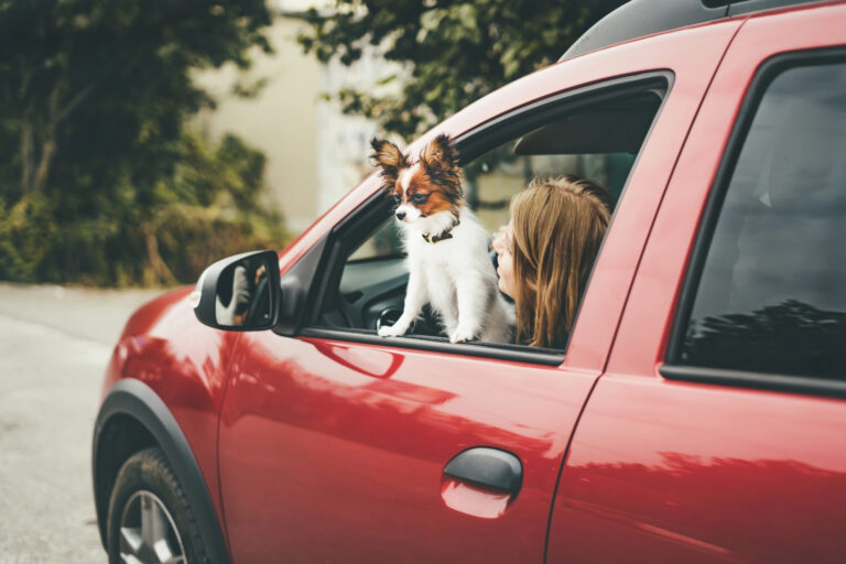 A small dog sits with its front paws on the window of a red SUV, while a person with long hair looks out beside it. Trees and a building are visible in the background.
