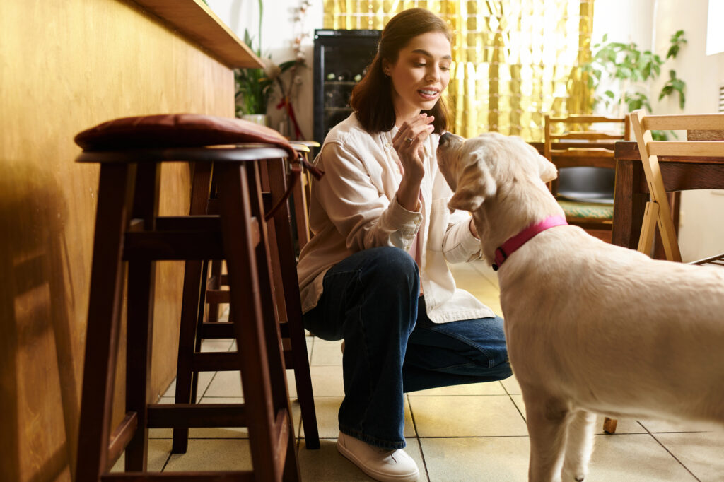 A woman kneels indoors and holds a treat while training a yellow Labrador retriever wearing a pink collar.