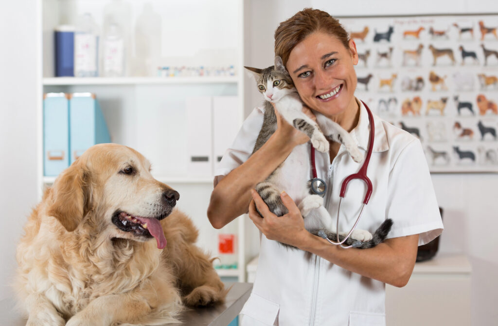 A veterinarian in a white coat holds a cat and smiles, while a golden retriever sits on the exam table in a veterinary clinic