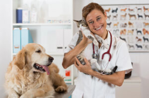 A veterinarian in a white coat holds a cat and smiles, while a golden retriever sits on the exam table in a veterinary clinic