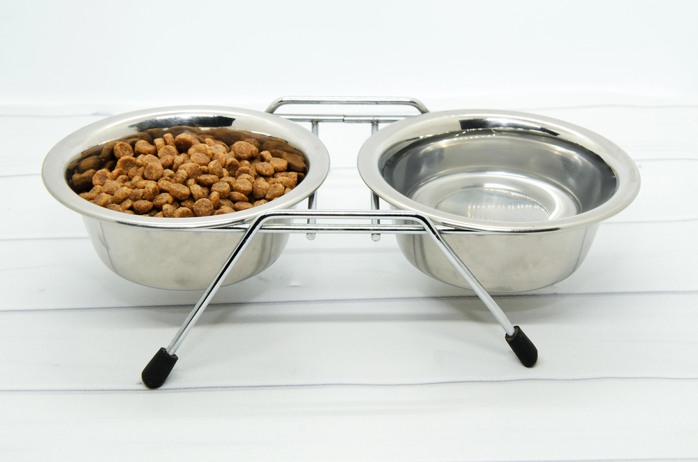Two stainless steel pet bowls on a metal stand; one bowl is filled with dry kibble, the other contains water.
