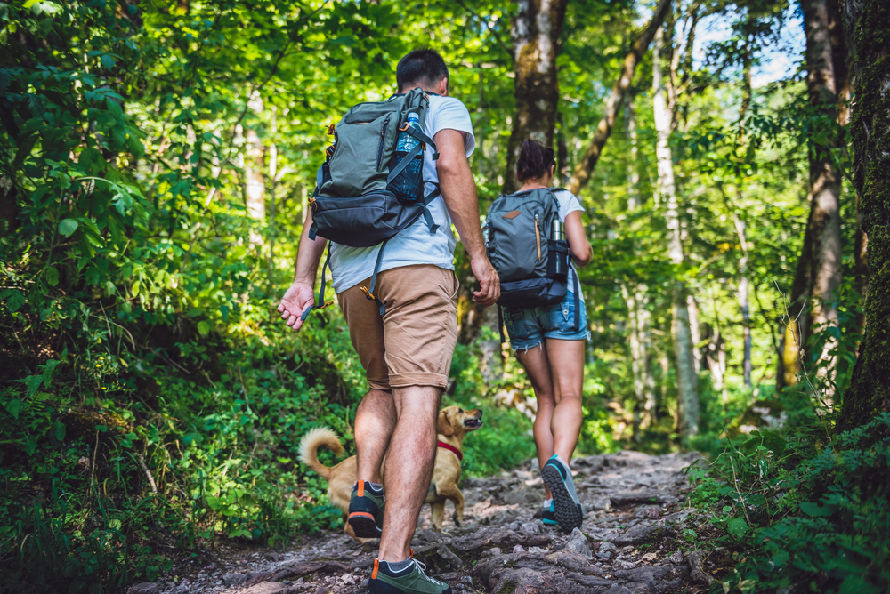 Two people with backpacks and a small dog hike on a rocky forest trail surrounded by green trees in daylight.
