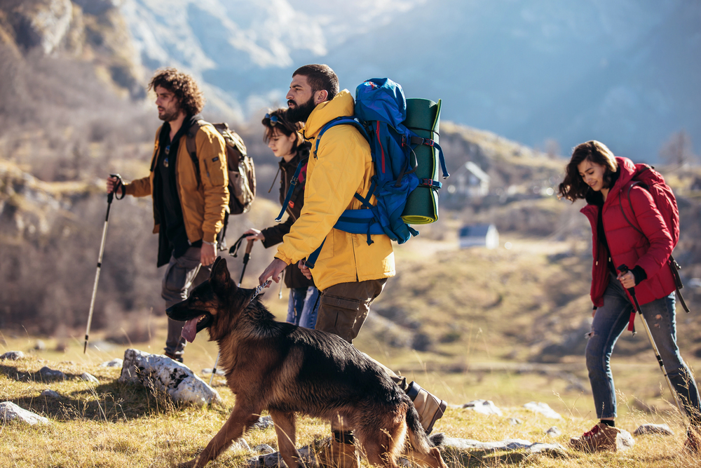 Four people with backpacks and hiking gear walk uphill on a rocky trail in a mountainous area, accompanied by a German Shepherd dog.