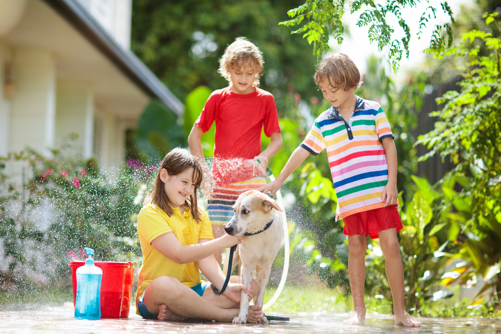 Three children wash a dog outside with a hose and buckets of water in a garden on a sunny day.