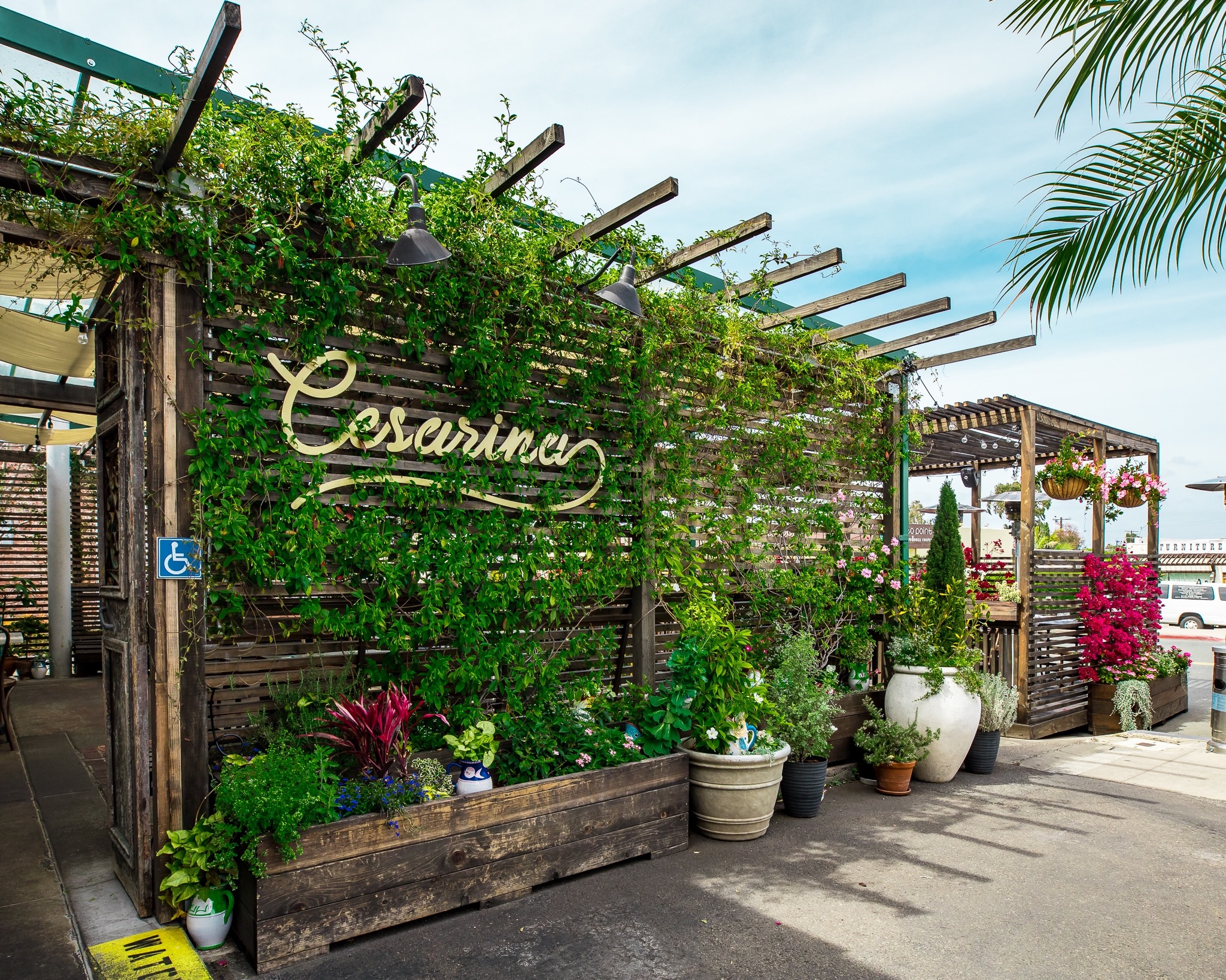 Outdoor restaurant patio with a wooden pergola covered in green vines and plants, large potted plants by the entrance, and a sign reading "Cesarina" on the wall.