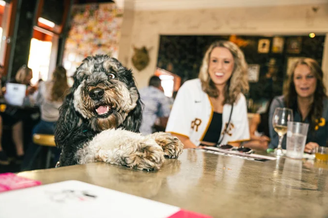 A dog with curly fur sits at a table in a lively restaurant or bar, with two smiling women and drinks in the background.